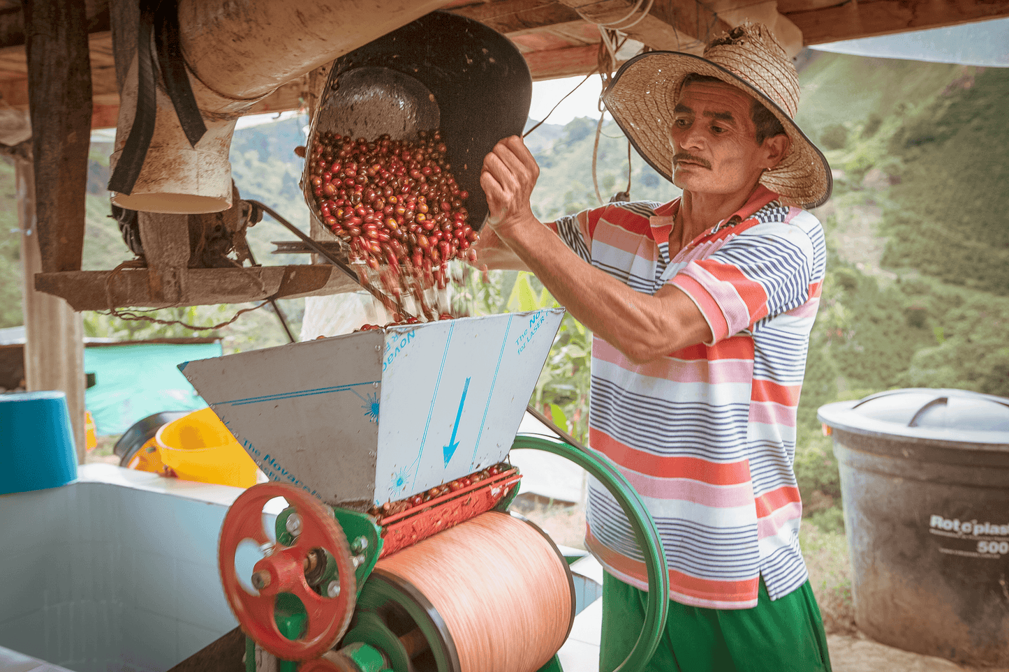 Colombia Las Perlitas Washed