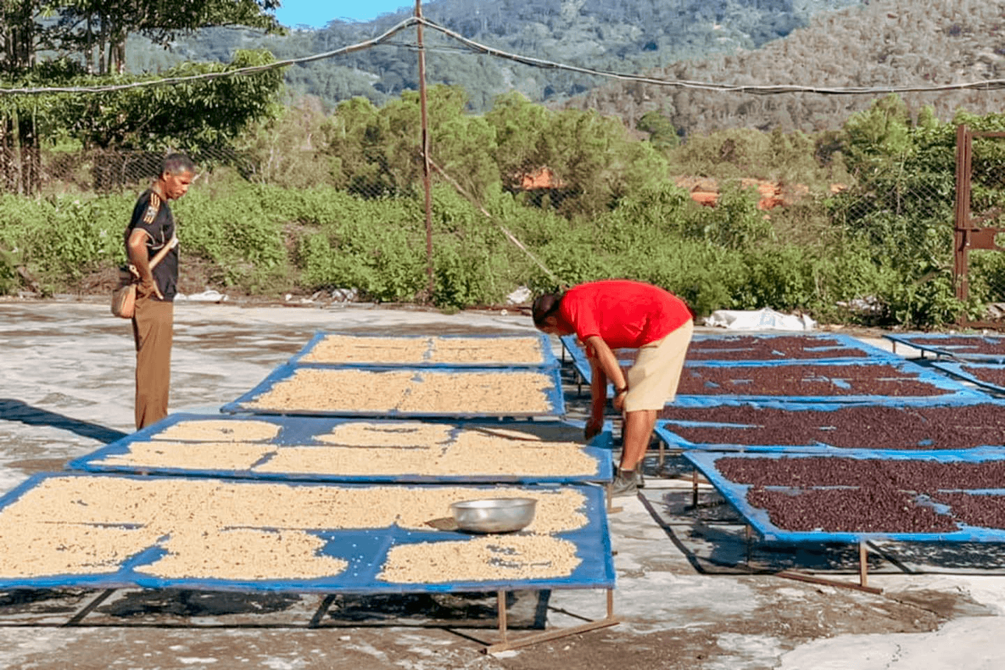 Leste Timor Estado Village (Timor Global)